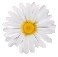 загрузка весна